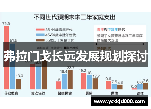 弗拉门戈长远发展规划探讨