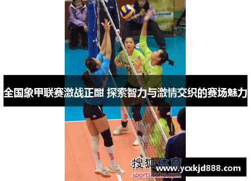 全国象甲联赛激战正酣 探索智力与激情交织的赛场魅力