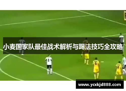 小麦国家队最佳战术解析与踢法技巧全攻略
