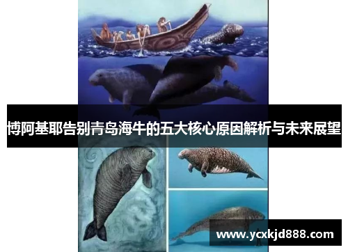 博阿基耶告别青岛海牛的五大核心原因解析与未来展望