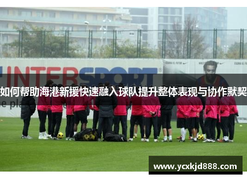 如何帮助海港新援快速融入球队提升整体表现与协作默契