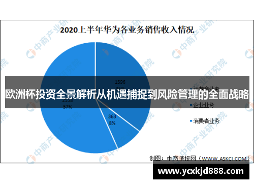 欧洲杯投资全景解析从机遇捕捉到风险管理的全面战略