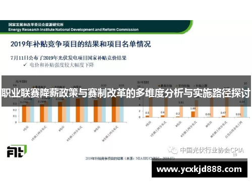 职业联赛降薪政策与赛制改革的多维度分析与实施路径探讨