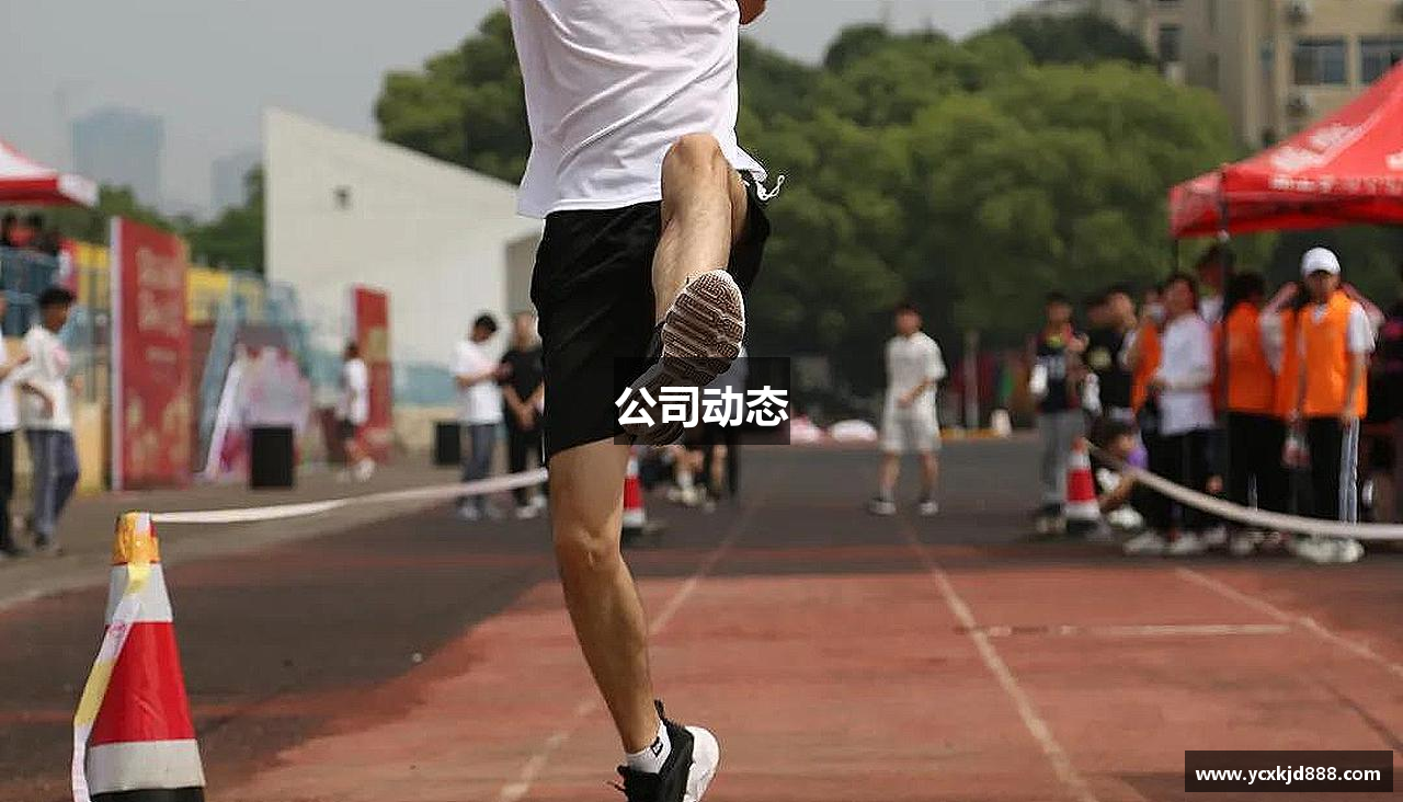 公司动态
